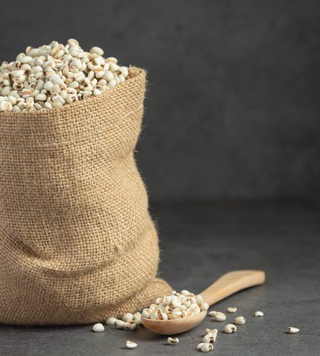 Heap of millet seeds on dark background